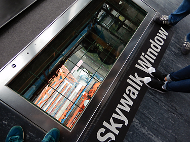 skywalkwindow